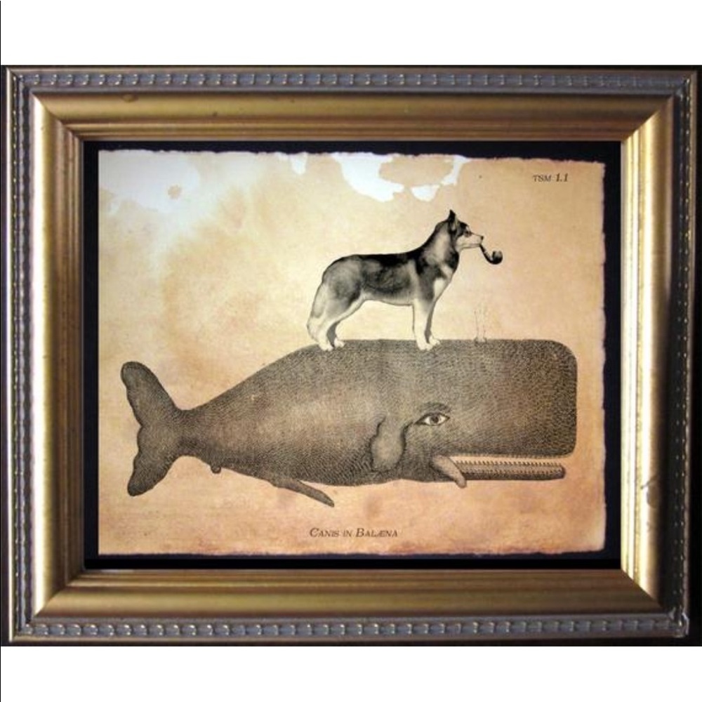 Husky Riding Whale Wall Art Print Tea Stained